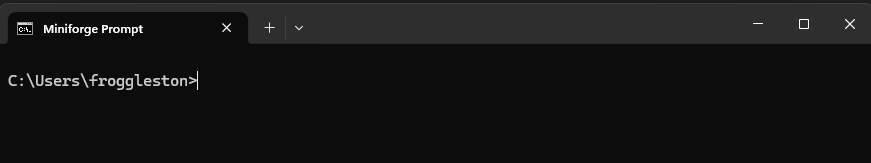 Miniforge Prompt [your-username] as froggleston