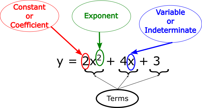 Graph of a polynomial equation