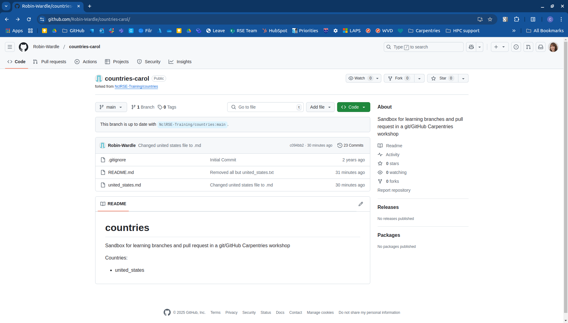 GitHub Browser Window