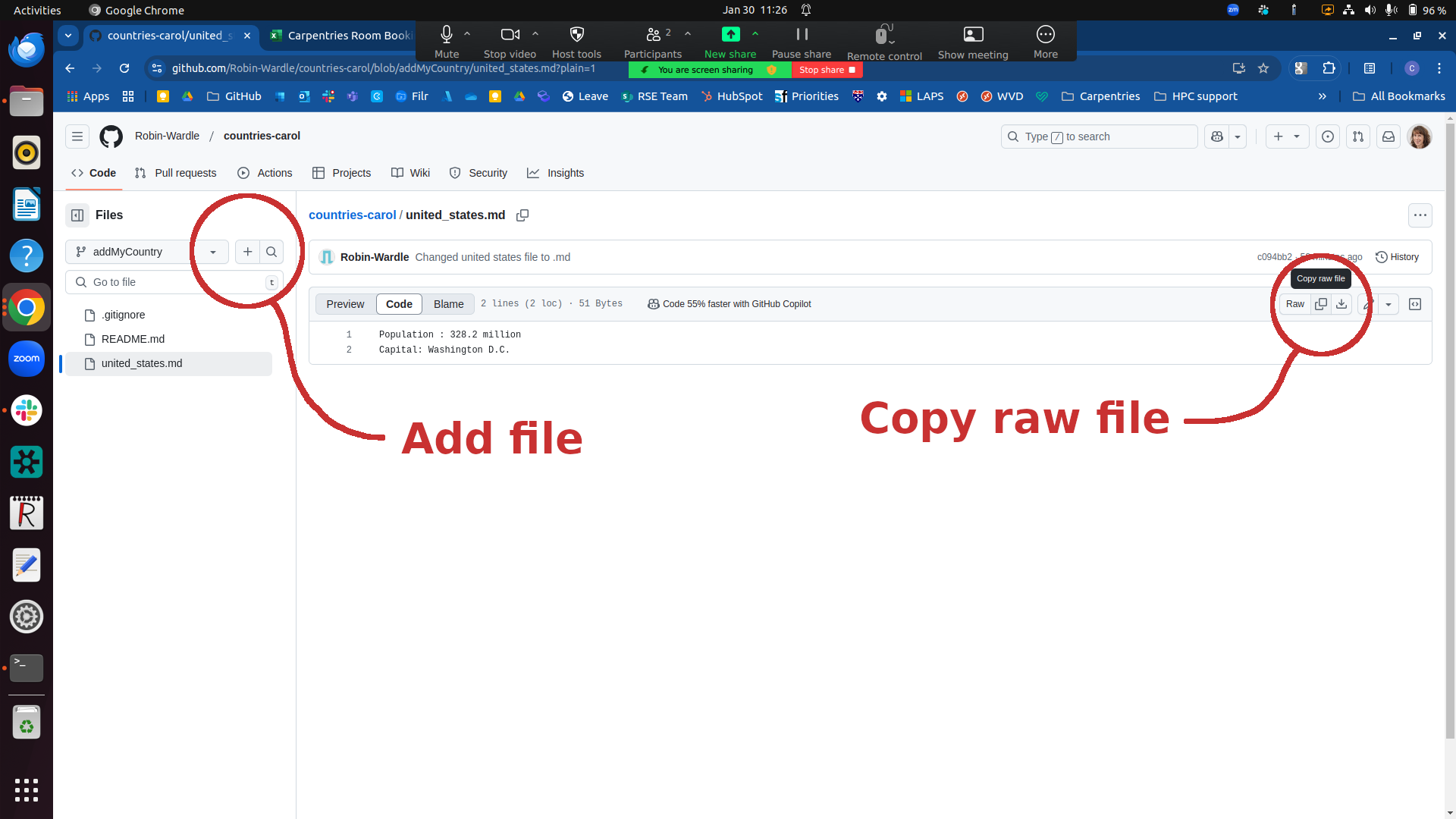 GitHub Copy Raw File