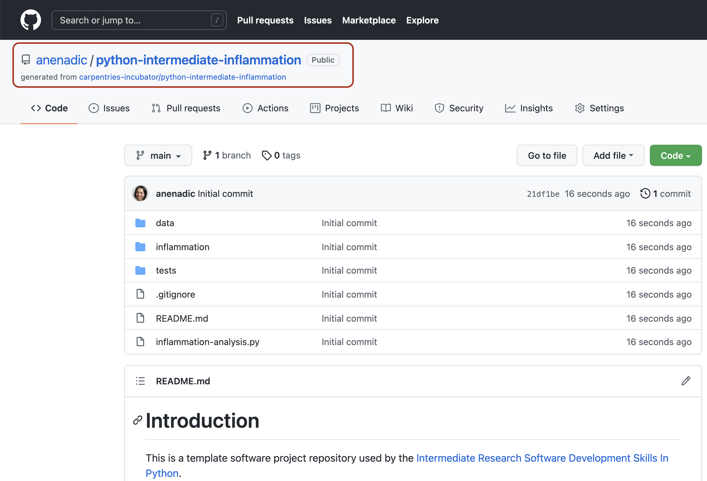 View of the own copy of the software template repository in GitHub